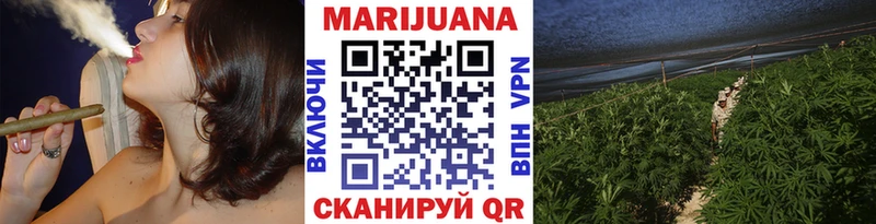 МАРИХУАНА MAZAR  Купить закладки  Канаш 